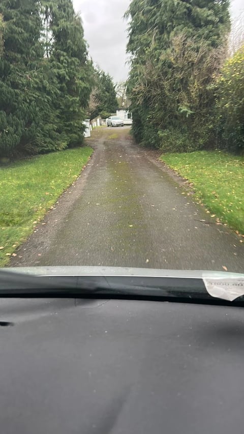 Driveway covered in moss and green algae before pressure washing